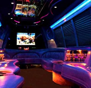 18 Passenger Party Bus Rental New Jersey