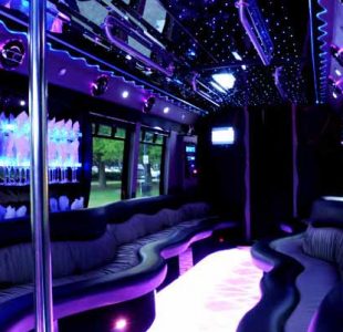 22 People Party Bus Limo New Jersey